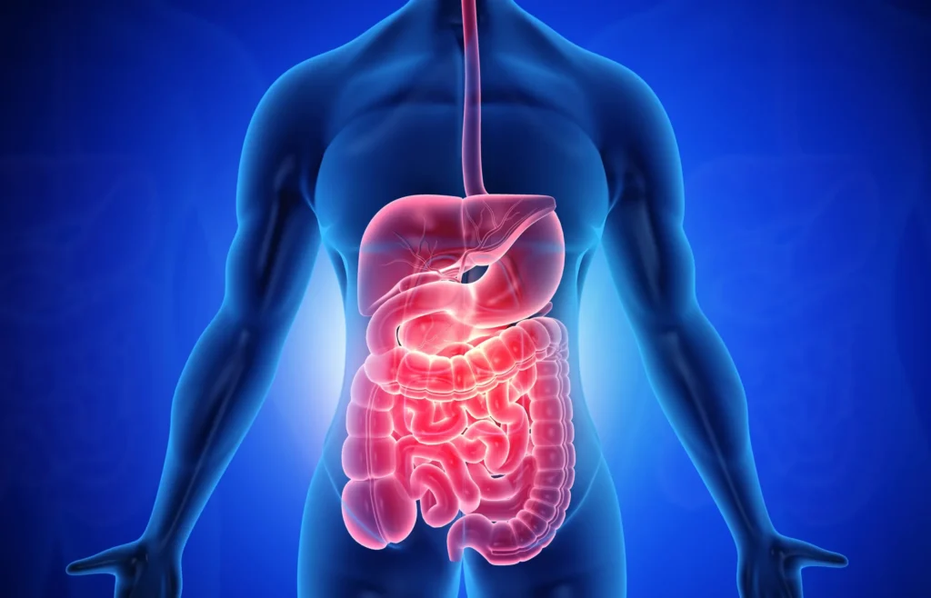 Gastrointestinal treatment hadapsar